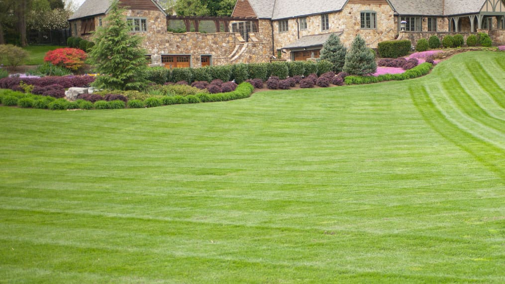 Yard Cleaning Checklist