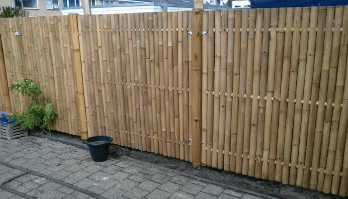 Bamboo Fence